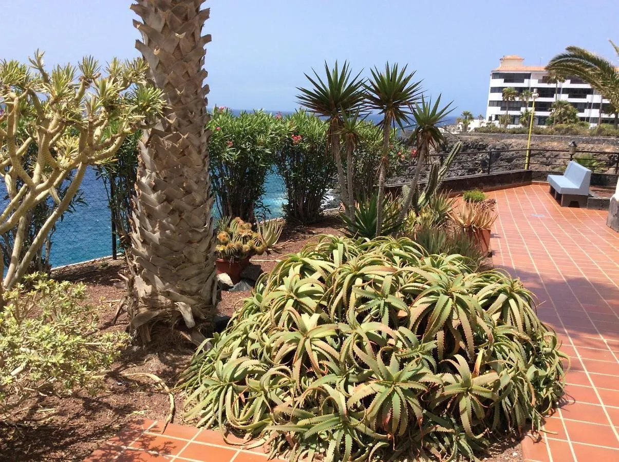 Apartment With Ocean Terrace Costa Del Silencio Spain